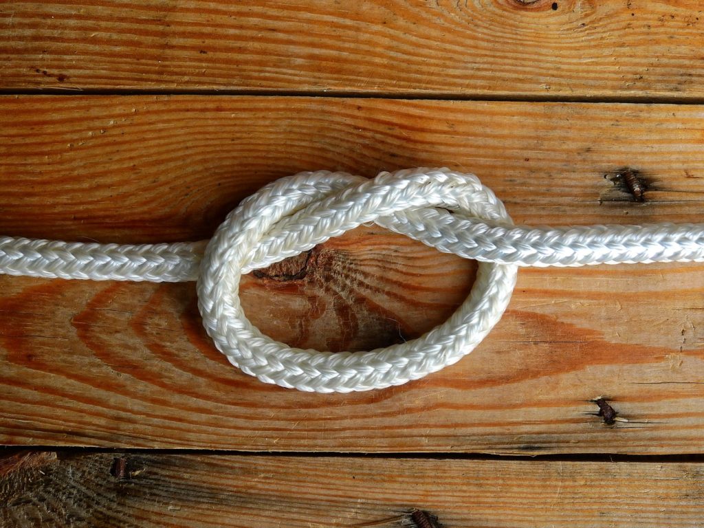 The Wellness Feedback Loop