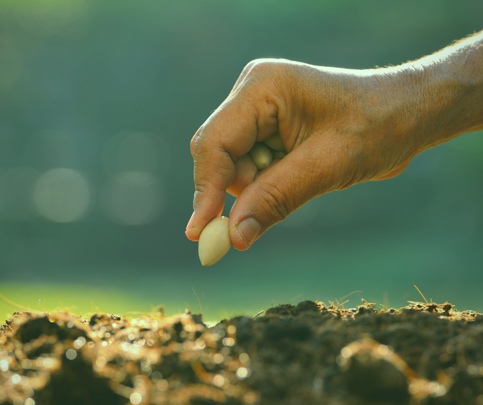 Planting Healthy Seeds in the New Year